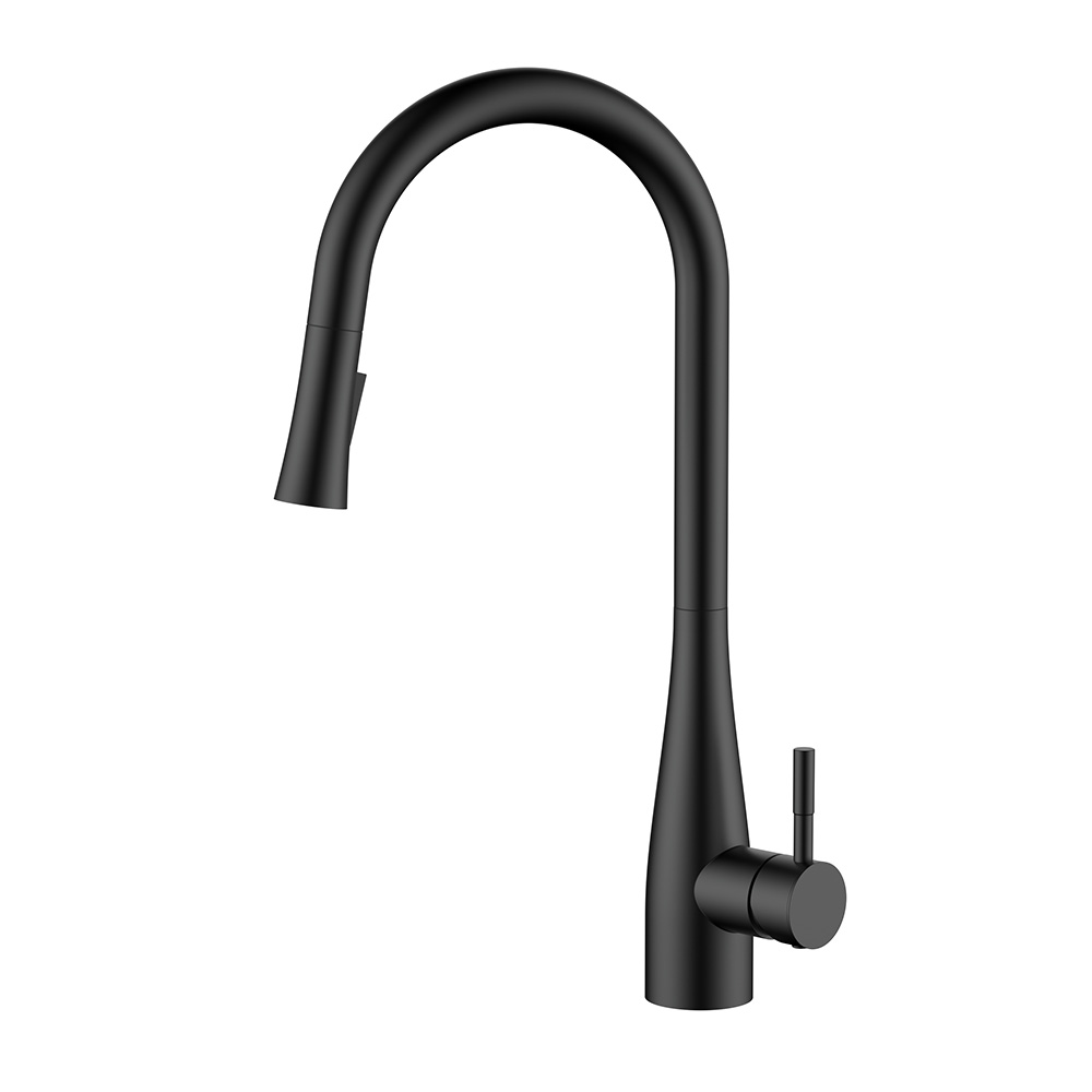 Moderne matte schwarze Küchenarmatur Edelstahl