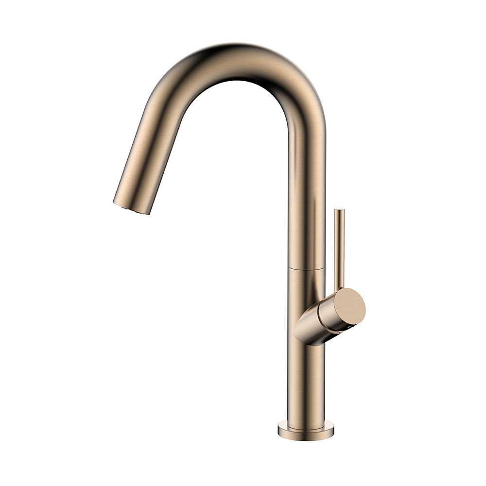 Roségold Edelstahl Einsloch Küchenstange Wasserhahn